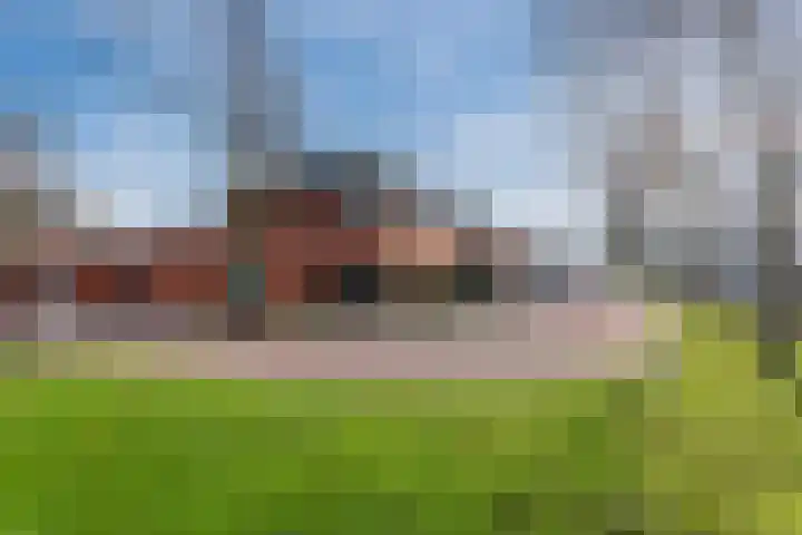 Ziteind 54 Best thumbnail 48