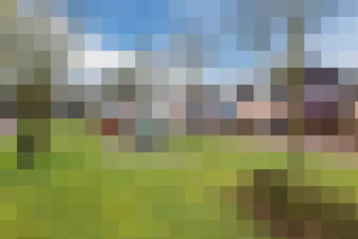 Ziteind 54 Best thumbnail 50
