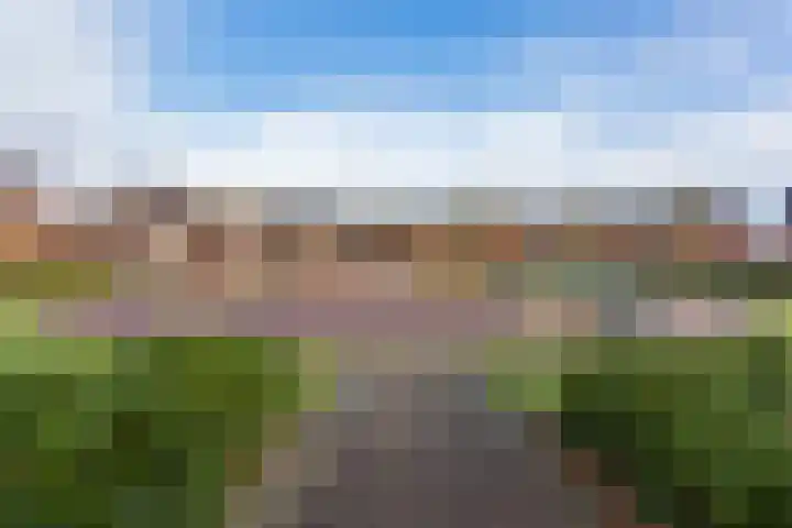 Ziteind 54 Best thumbnail 51