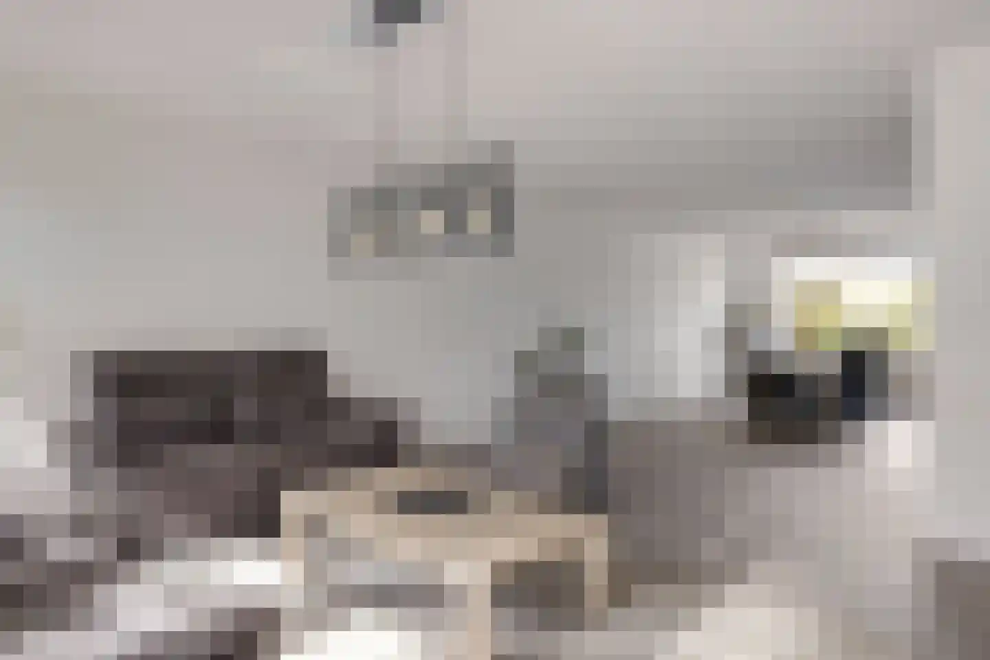 Ziteind 60 Best thumbnail 12