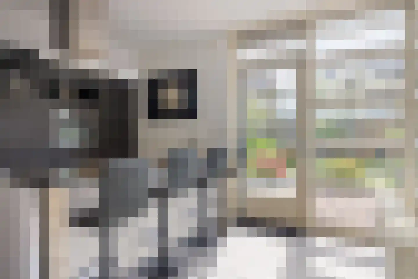 Ziteind 60 Best thumbnail 14