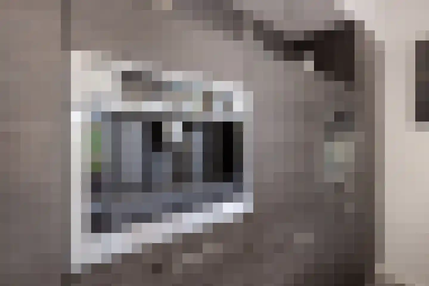 Ziteind 60 Best thumbnail 16