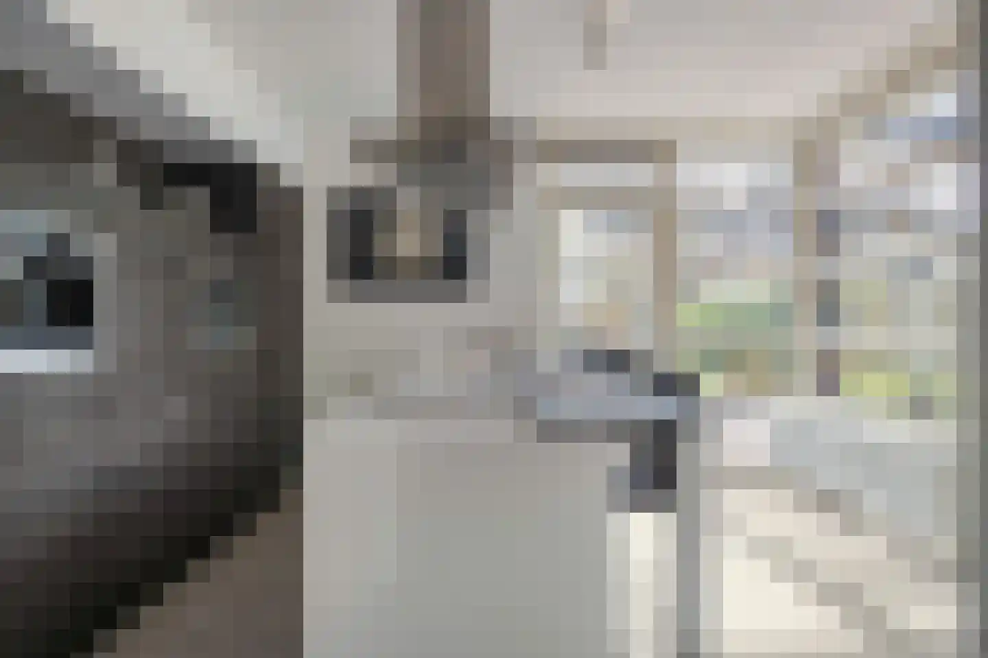 Ziteind 60 Best foto 2