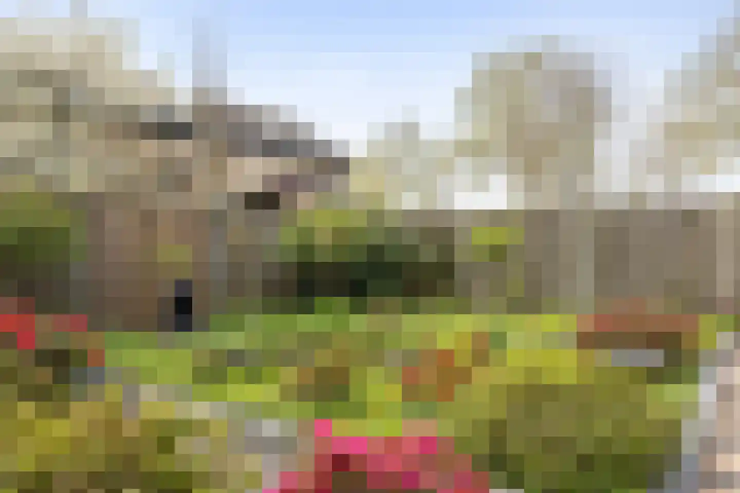 Ziteind 60 Best thumbnail 33