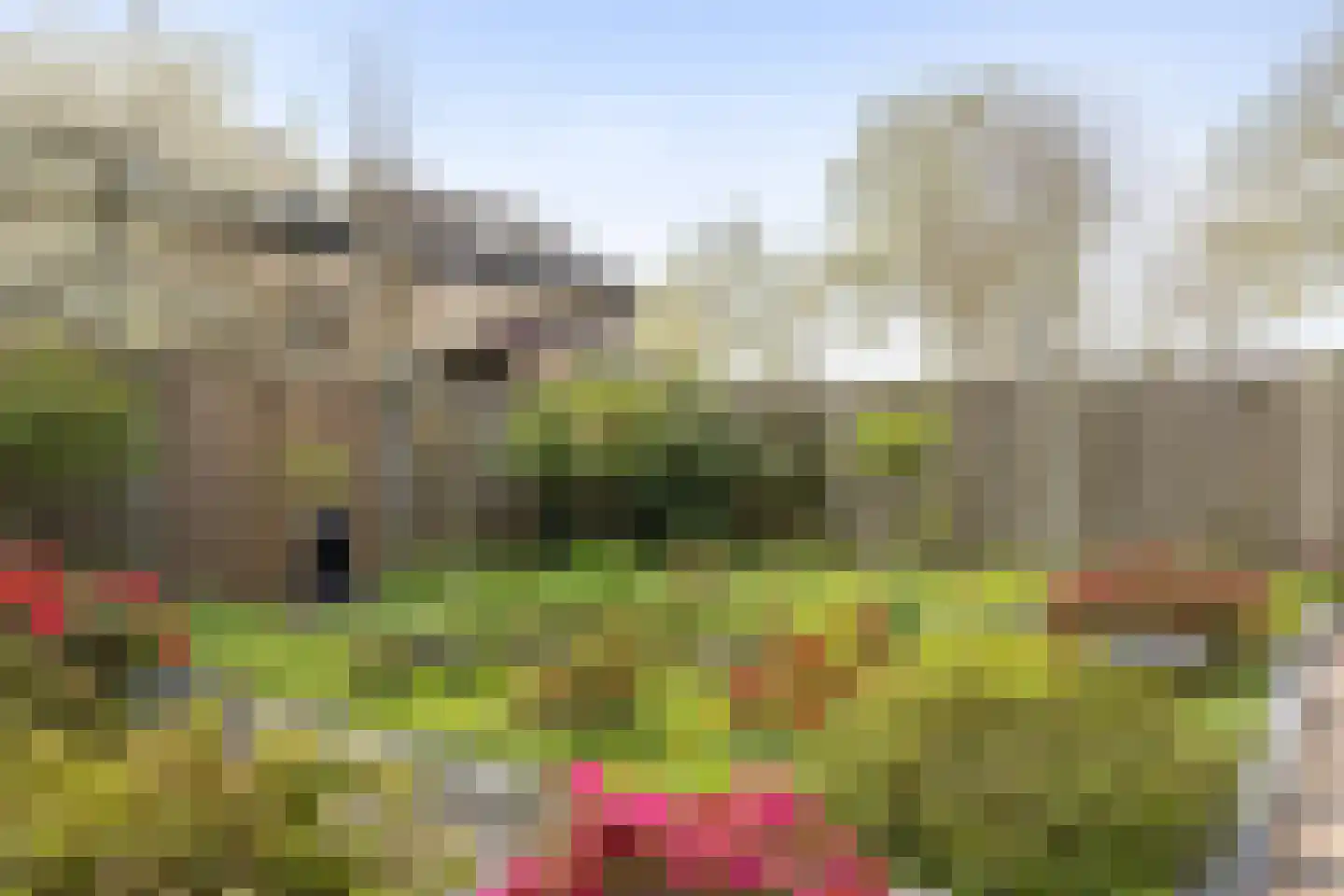 Ziteind 60 Best thumbnail 33