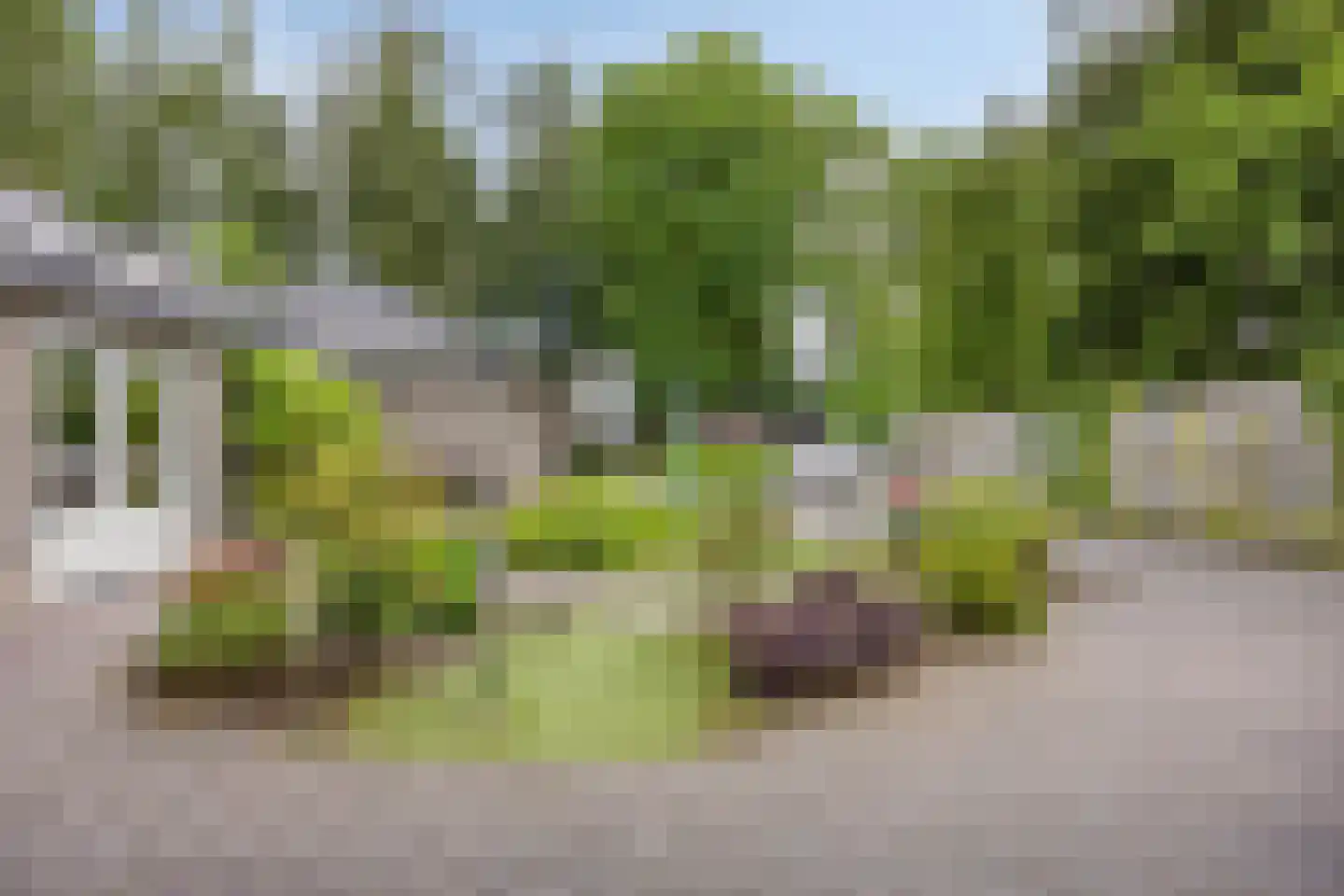 Zittard 18 Veldhoven thumbnail 53