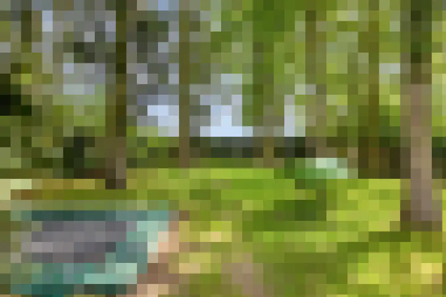 Zittard 18 Veldhoven thumbnail 64