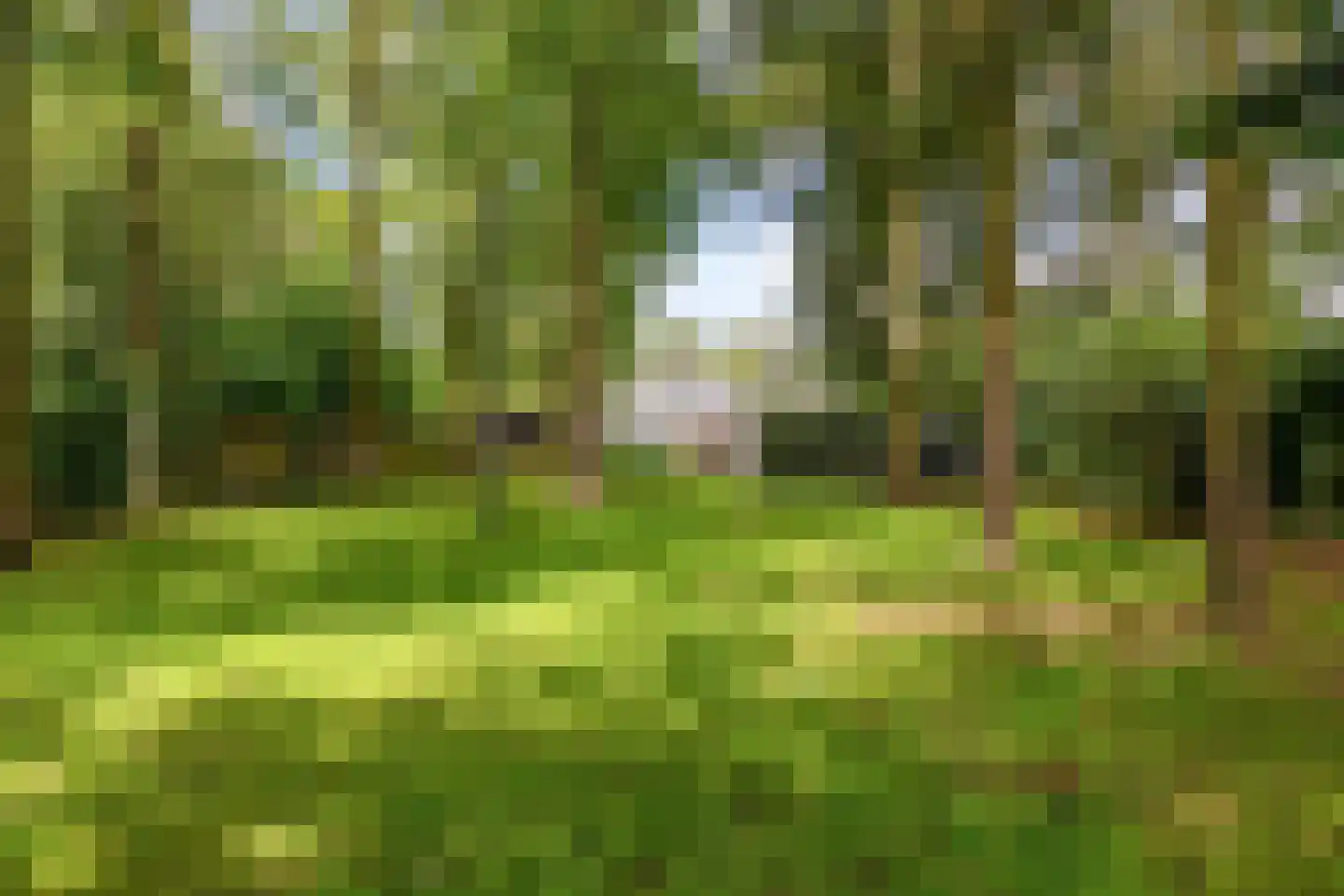 Zittard 18 Veldhoven thumbnail 65