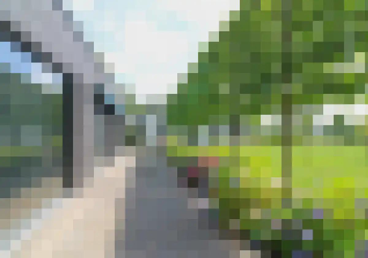 Zittard 24 Veldhoven thumbnail 4