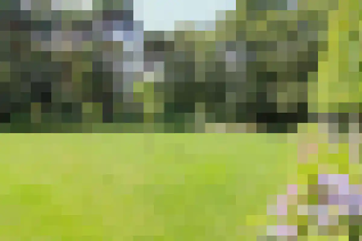 Zittard 24 Veldhoven thumbnail 5