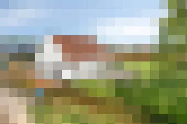 Zittard 42 Veldhoven thumbnail 35