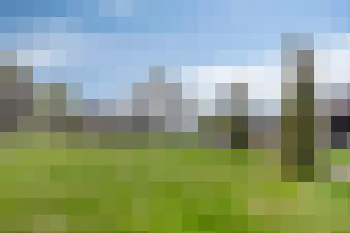 Zittard 42 Veldhoven thumbnail 37