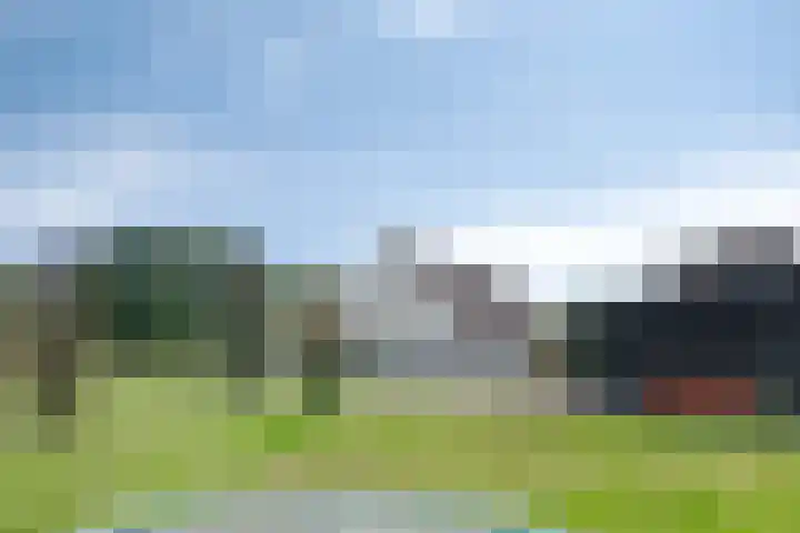 Zittard 42 Veldhoven thumbnail 38
