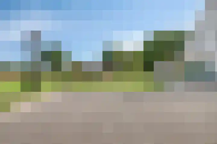 Zittard 42 Veldhoven thumbnail 4