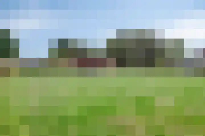 Zittard 42 Veldhoven thumbnail 41