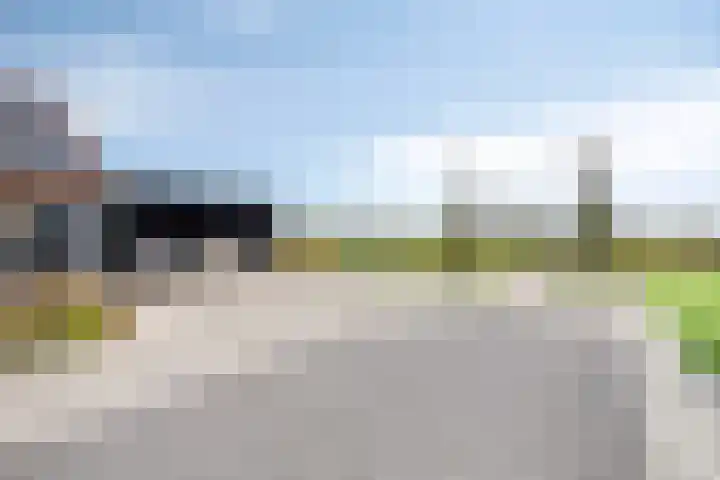 Zittard 42 Veldhoven thumbnail 51