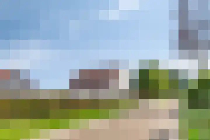Zittard 42 Veldhoven thumbnail 56