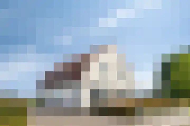 Zittard 42 Veldhoven thumbnail 64