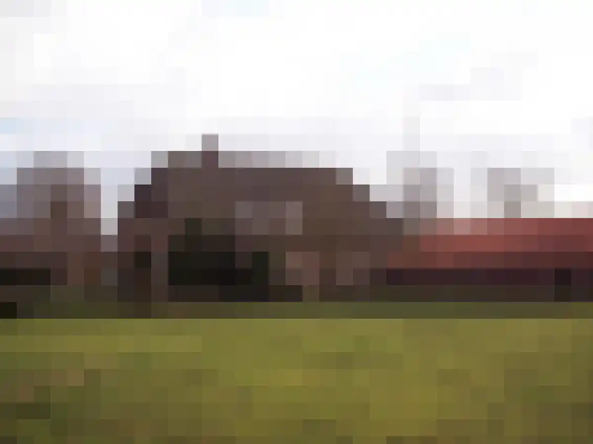 Zittard 53 Veldhoven foto 3