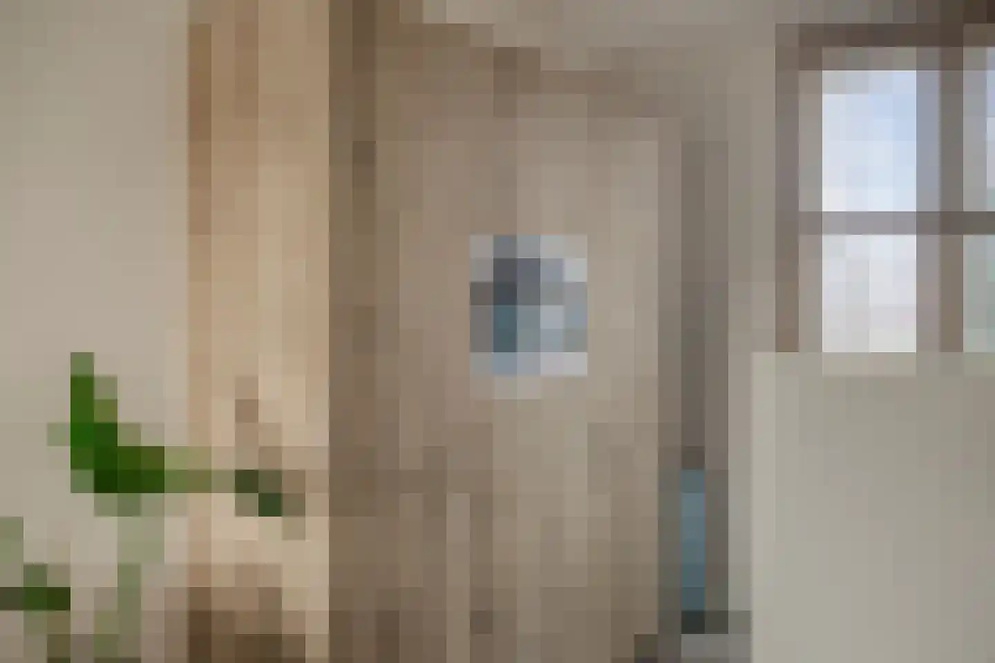 Zittardsestraat 37 Veldhoven thumbnail 11