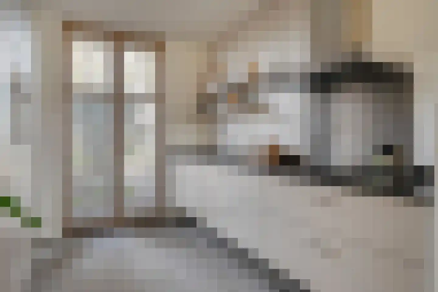 Zittardsestraat 37 Veldhoven thumbnail 13