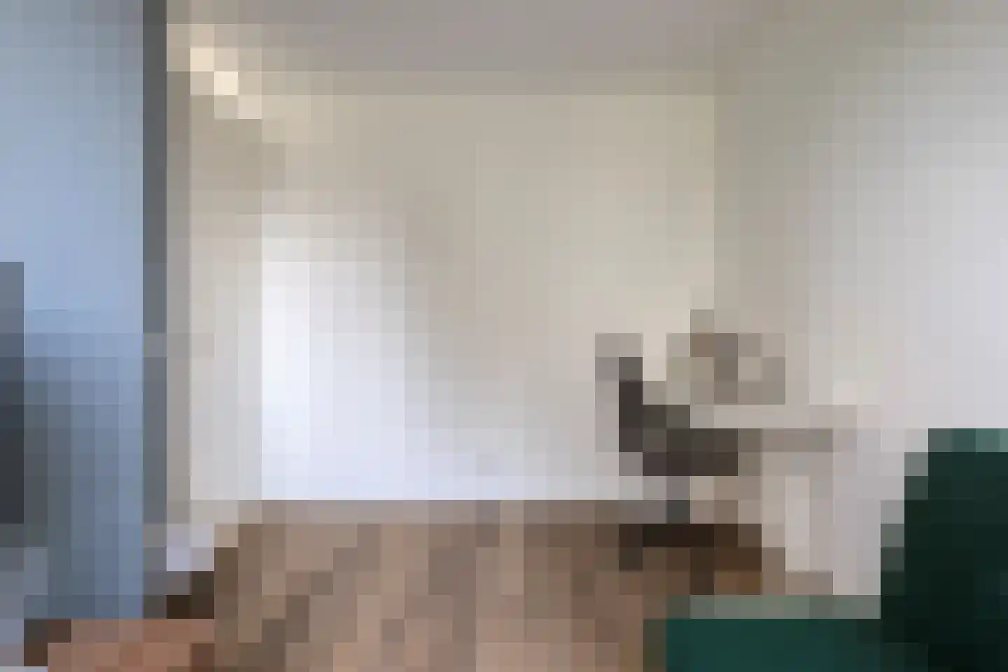 Zittardsestraat 37 Veldhoven thumbnail 18