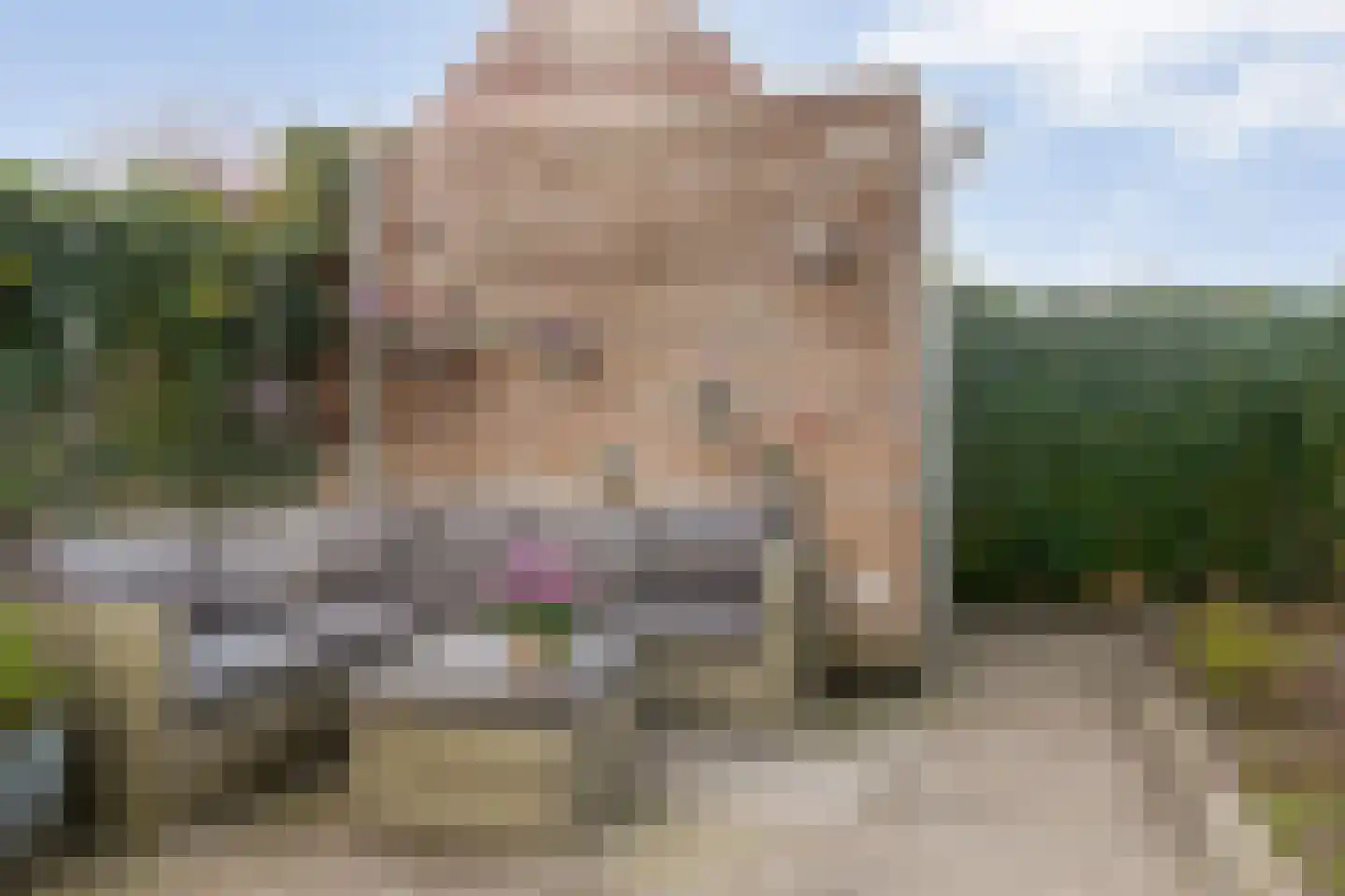Zittardsestraat 37 Veldhoven thumbnail 30