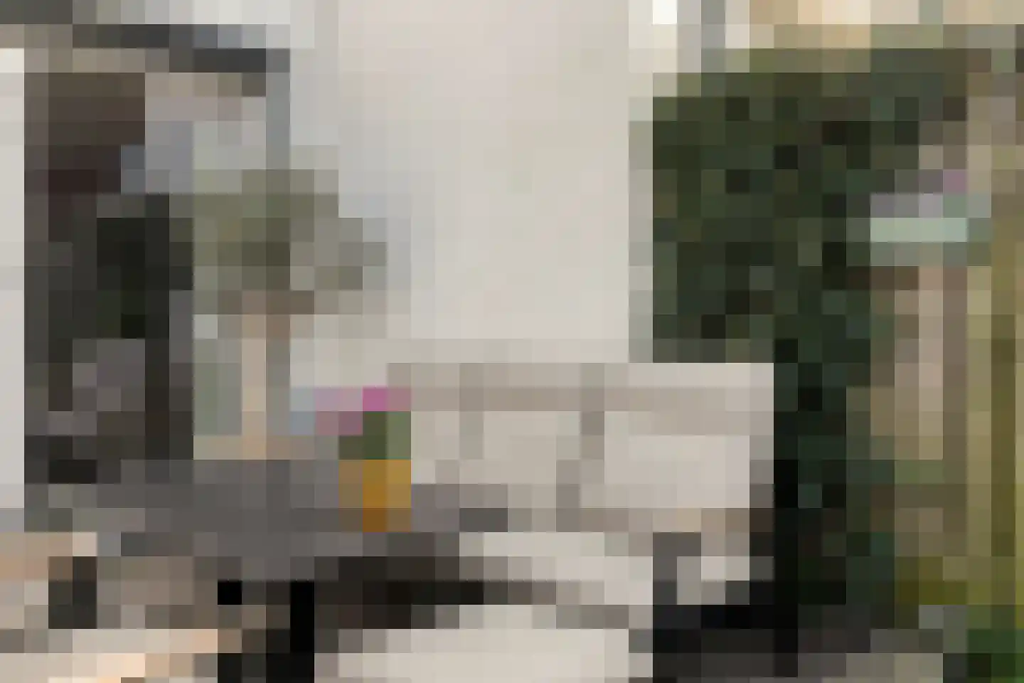 Zittardsestraat 37 Veldhoven thumbnail 32
