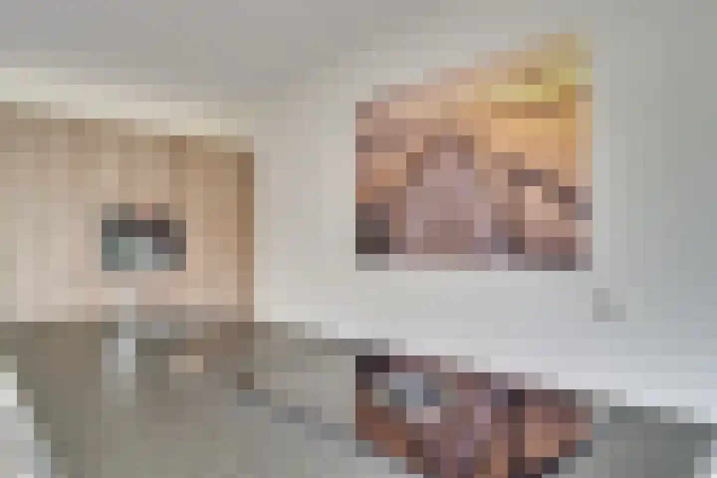Zittardsestraat 43 Veldhoven thumbnail 22