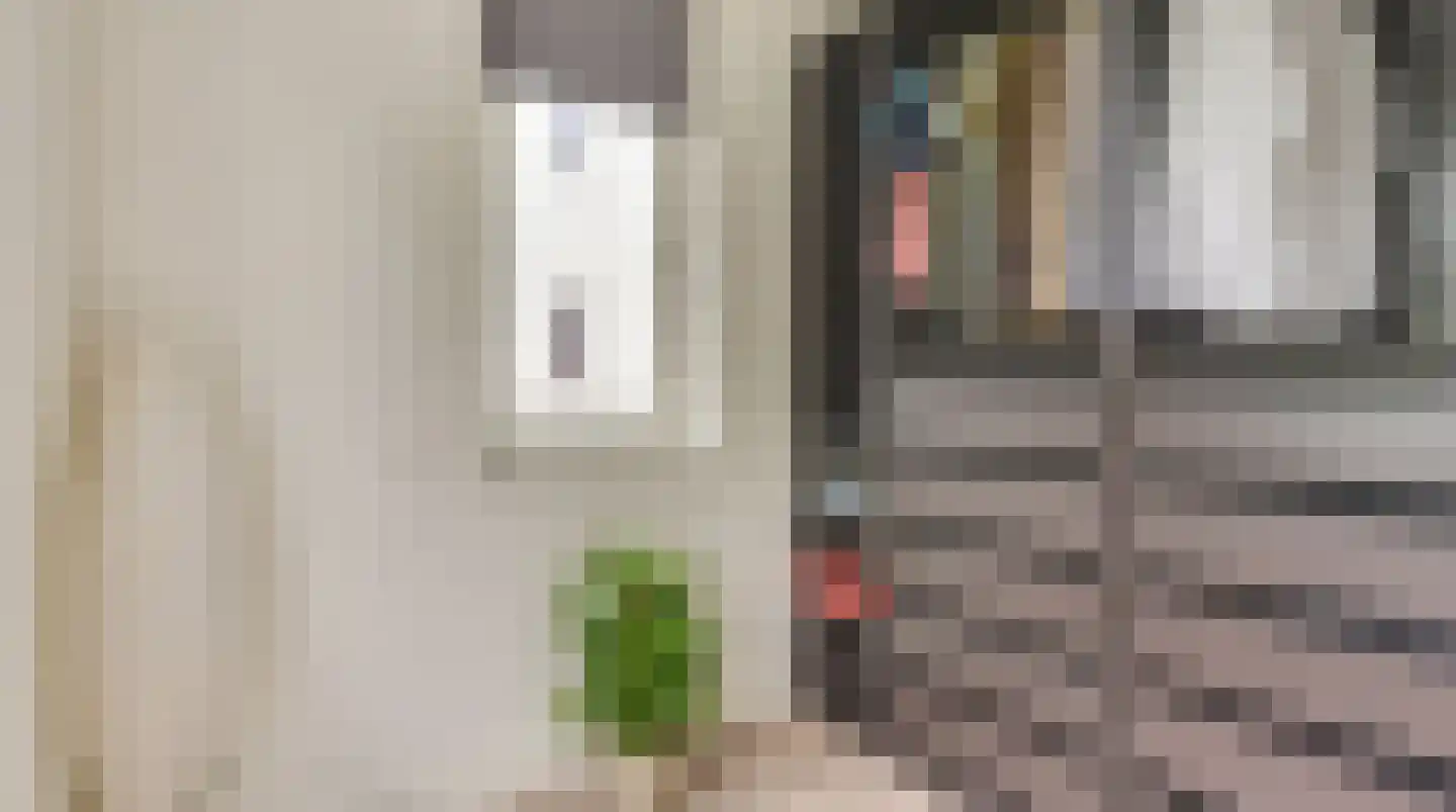 Zittardsestraat 43 Veldhoven thumbnail 28