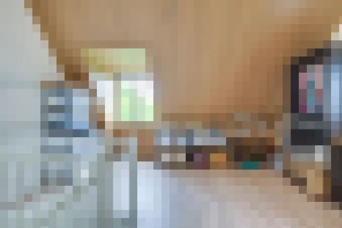 Zittardsestraat 43 Veldhoven thumbnail 32
