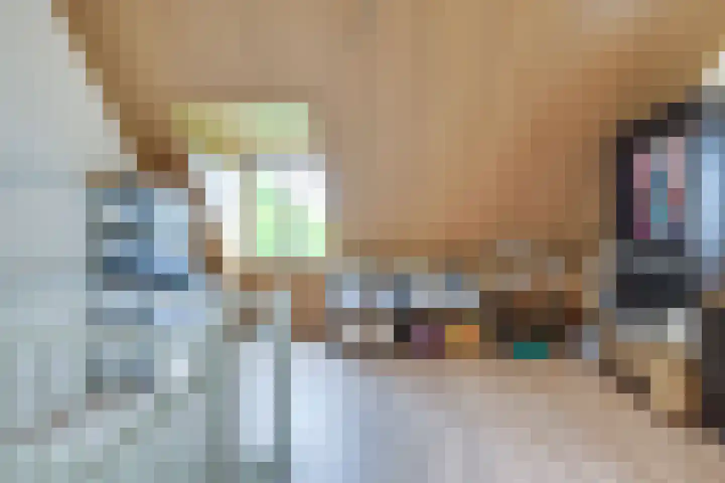 Zittardsestraat 43 Veldhoven thumbnail 32