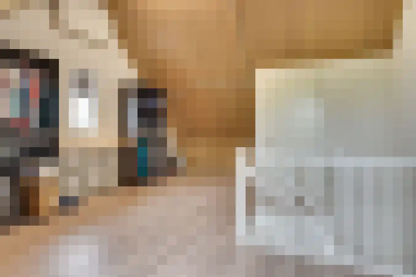 Zittardsestraat 43 Veldhoven thumbnail 33