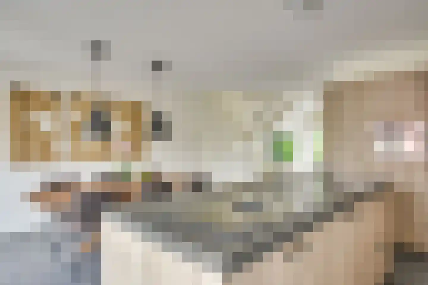 Zittardsestraat 43 Veldhoven thumbnail 4