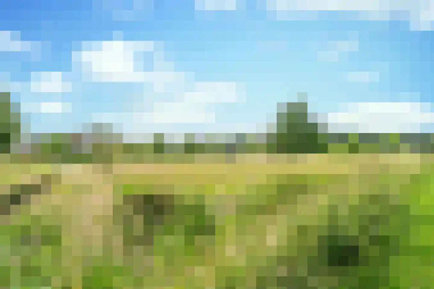 Zittardsestraat 43 Veldhoven thumbnail 41
