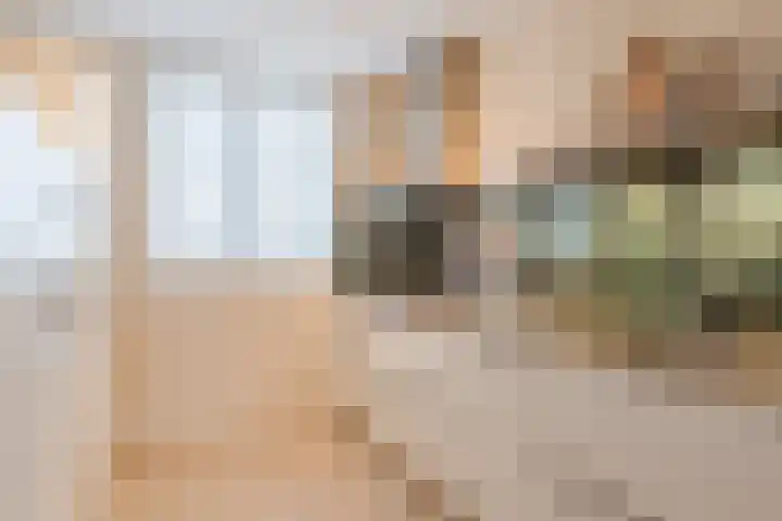 Zittardsestraat 55 Veldhoven thumbnail 13