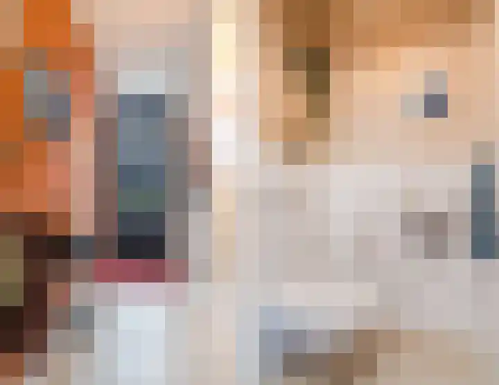 Zittardsestraat 55 Veldhoven thumbnail 17