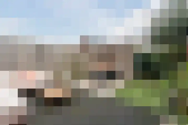 Zittardsestraat 55 Veldhoven thumbnail 32