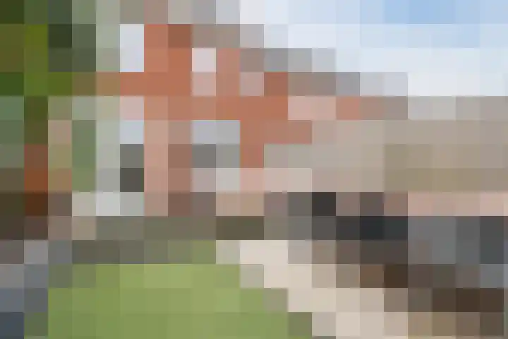 Zittardsestraat 55 Veldhoven thumbnail 33