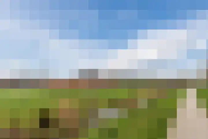 Zittardsestraat 55 Veldhoven thumbnail 39