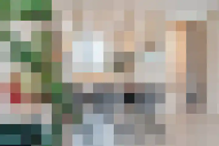 Zittardsestraat 55 Veldhoven thumbnail 8