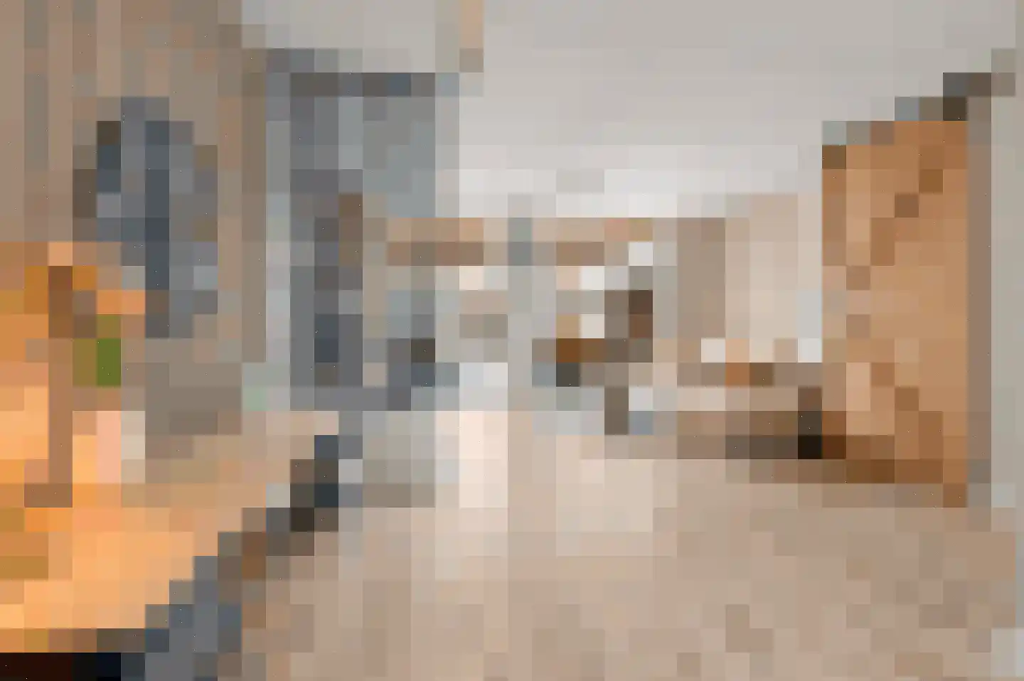 Zittardsestraat 61 Veldhoven thumbnail 10