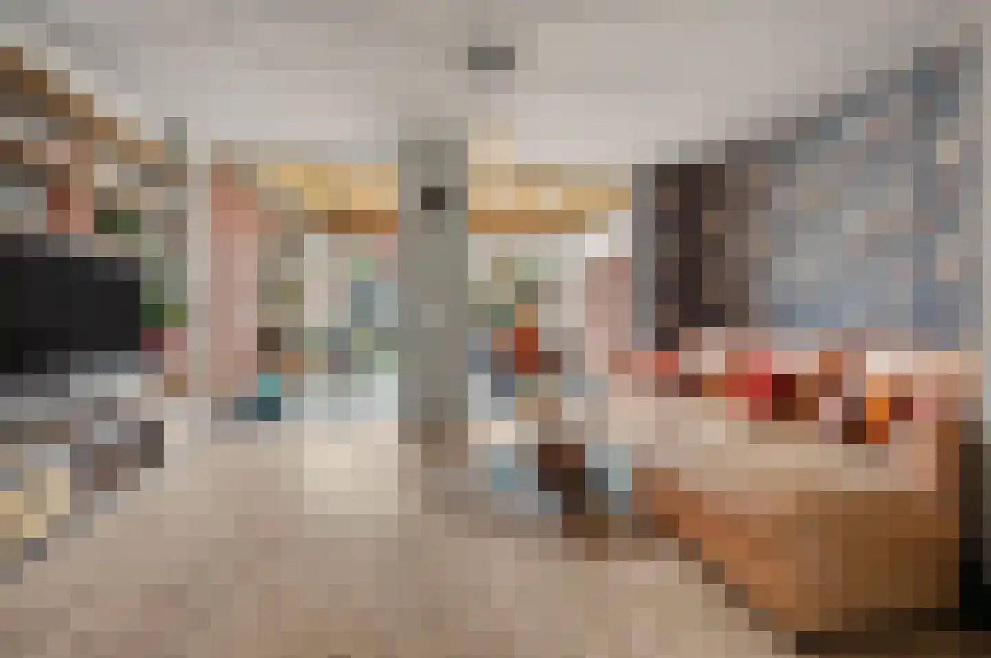 Zittardsestraat 61 Veldhoven thumbnail 11