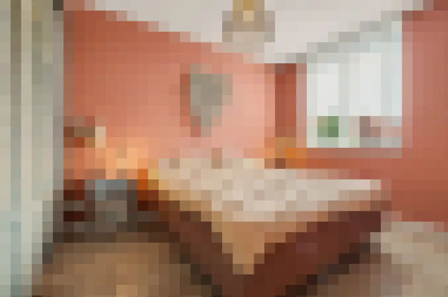 Zittardsestraat 61 Veldhoven thumbnail 17