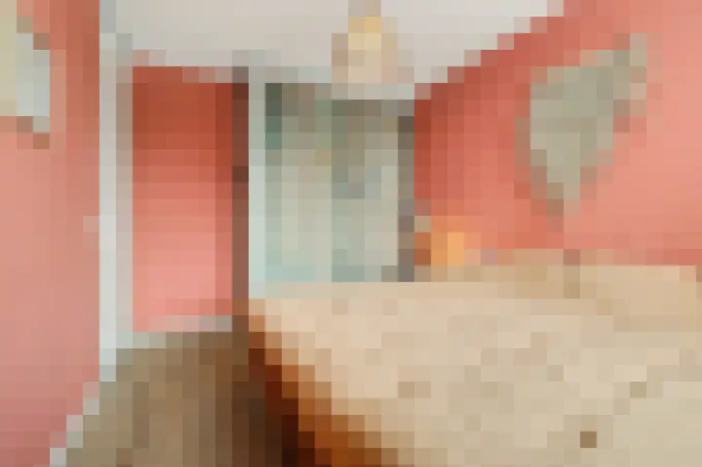 Zittardsestraat 61 Veldhoven thumbnail 18