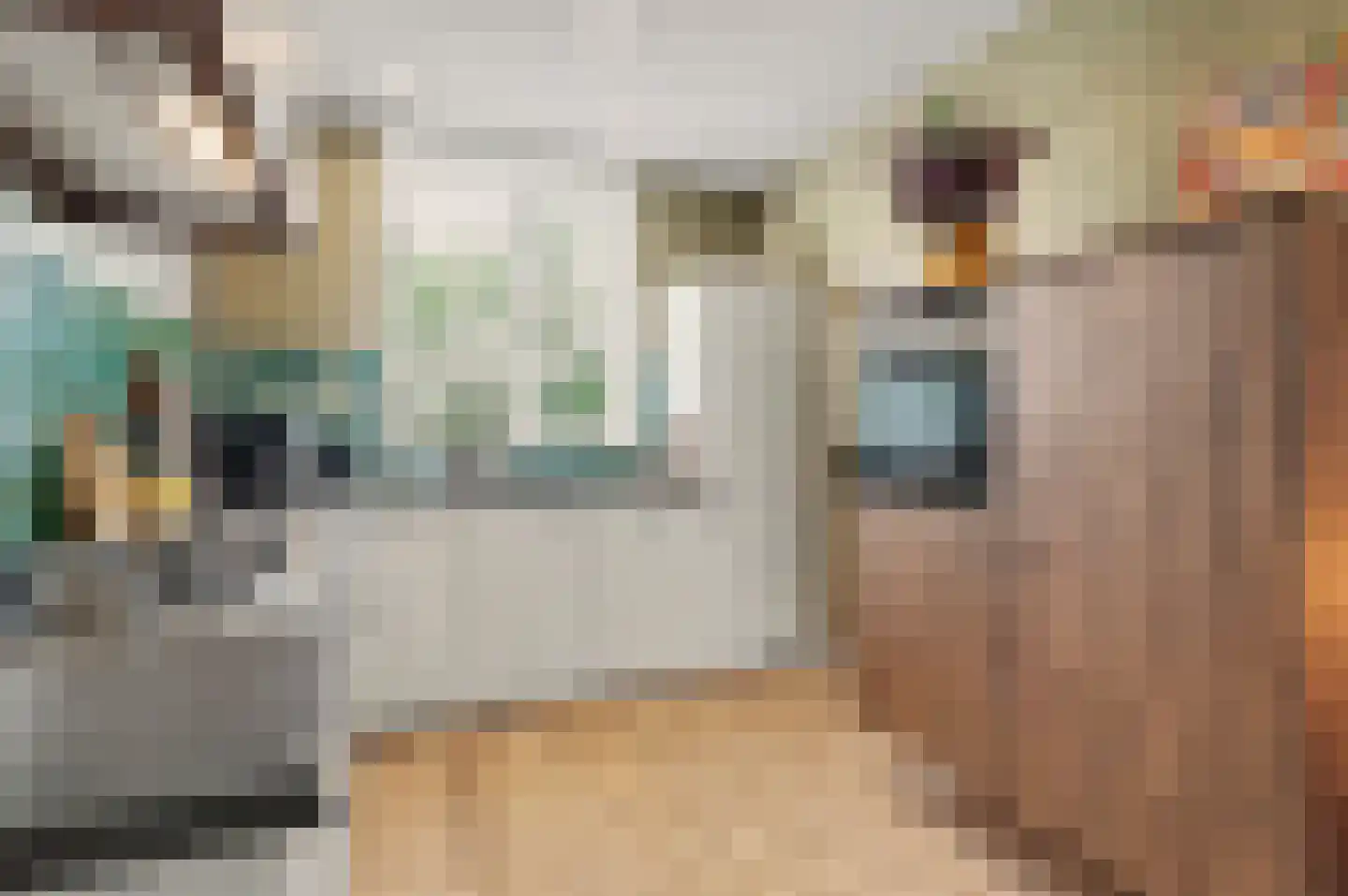 Zittardsestraat 61 Veldhoven thumbnail 19