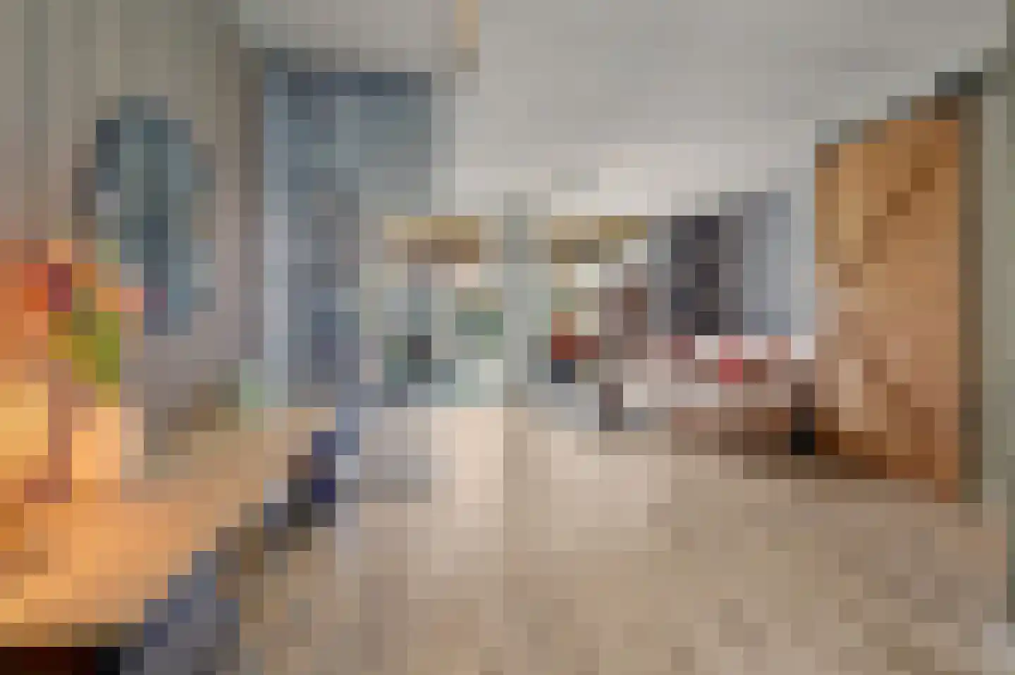 Zittardsestraat 61 Veldhoven thumbnail 4