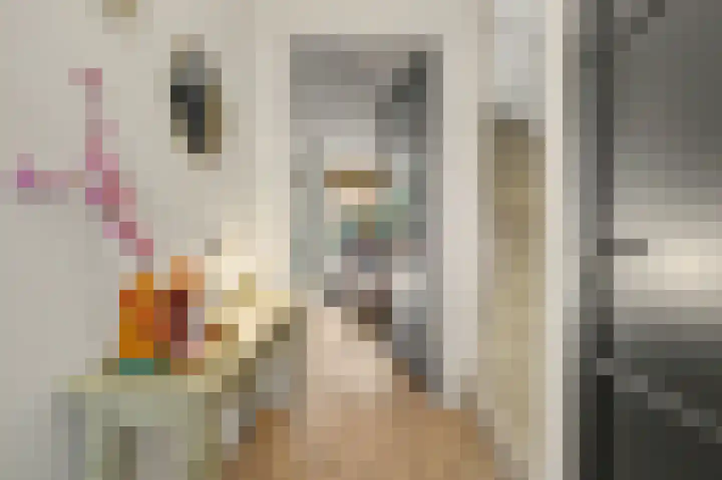 Zittardsestraat 61 Veldhoven thumbnail 8