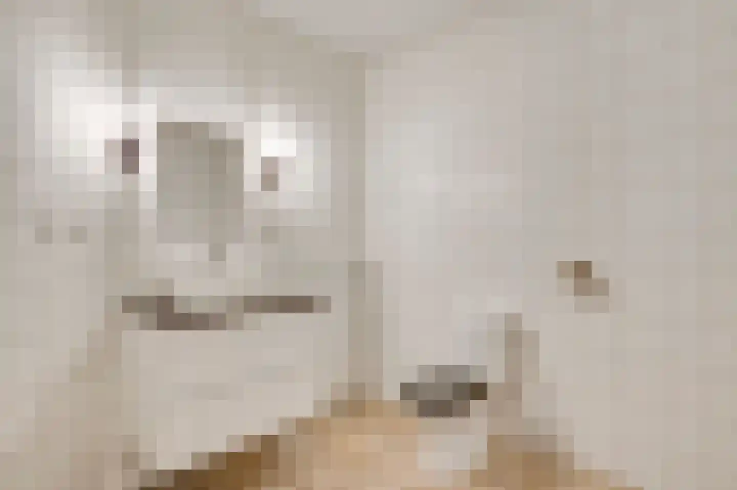 Zitterd 2 a Soerendonk thumbnail 10