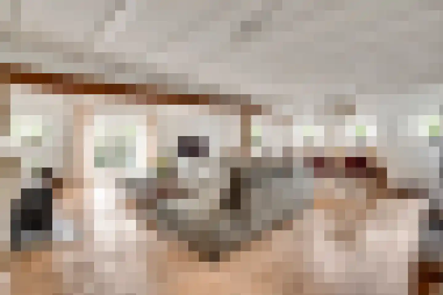 Zitterd 2 a Soerendonk thumbnail 11